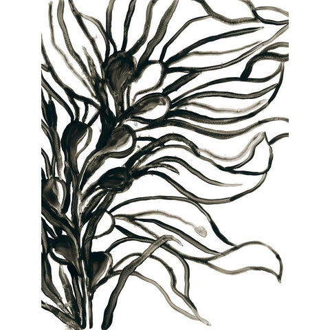 Kelp Contour IV White Modern Wood Framed Art Print by Vess, June Erica