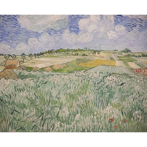 Plain near Auvers Black Modern Wood Framed Art Print with Double Matting by Van Gogh, Vincent