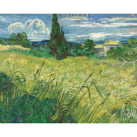 Green Wheat Field with Cypress White Modern Wood Framed Art Print by Van Gogh, Vincent