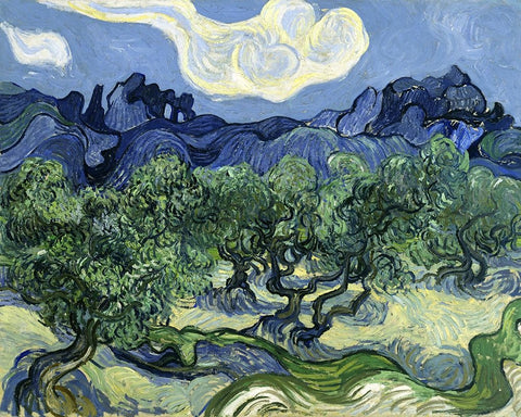 Olive Trees with the Alpilles in the Background White Modern Wood Framed Art Print with Double Matting by Van Gogh, Vincent