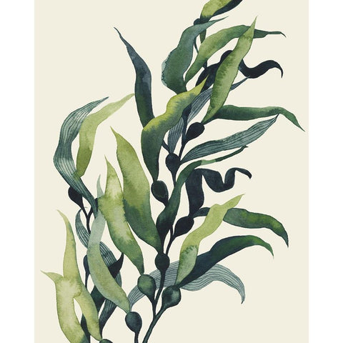 Through the Kelp II Black Modern Wood Framed Art Print with Double Matting by Popp, Grace