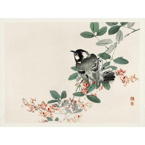 Kono Bairei Songbirds I Black Modern Wood Framed Art Print with Double Matting by Vision Studio