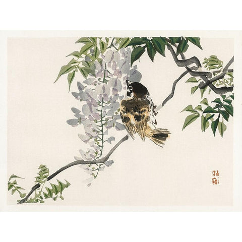 Kono Bairei Songbirds II Black Modern Wood Framed Art Print with Double Matting by Vision Studio