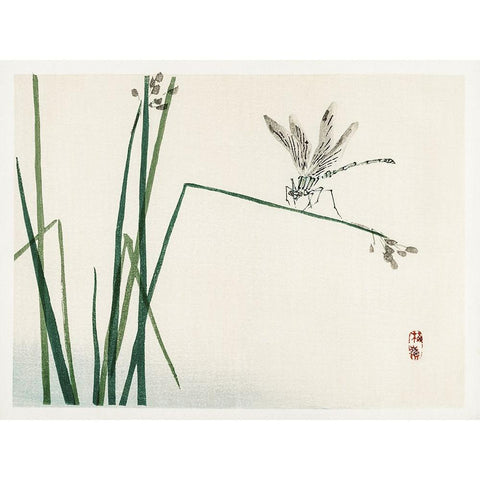 Kono Bairei Dragonflies I Gold Ornate Wood Framed Art Print with Double Matting by Vision Studio