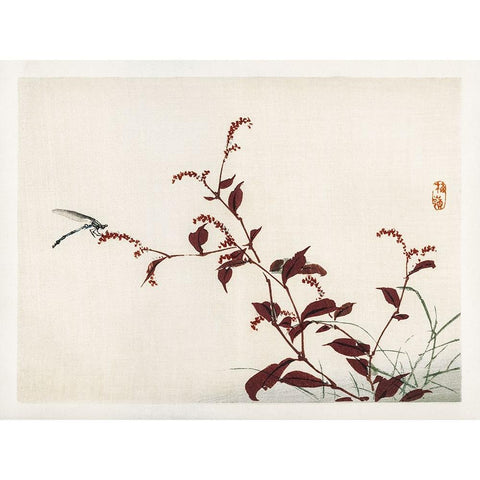 Kono Bairei Dragonflies II Black Modern Wood Framed Art Print with Double Matting by Vision Studio