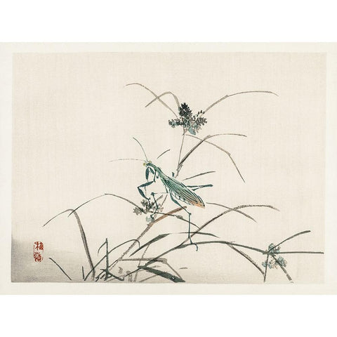 Kono Bairei Dragonflies III Gold Ornate Wood Framed Art Print with Double Matting by Vision Studio