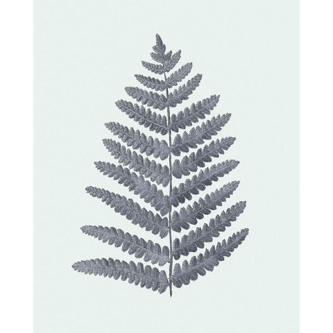 Antique Silver Ferns II Gold Ornate Wood Framed Art Print with Double Matting by Vision Studio