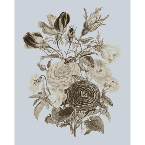 Antique Floral Spray I Black Modern Wood Framed Art Print by Vision Studio