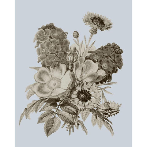 Antique Floral Spray II Black Modern Wood Framed Art Print by Vision Studio