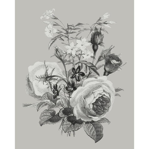 Antique Floral Spray III Black Modern Wood Framed Art Print by Vision Studio