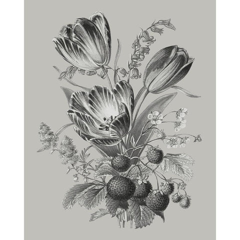 Antique Floral Spray IV White Modern Wood Framed Art Print by Vision Studio