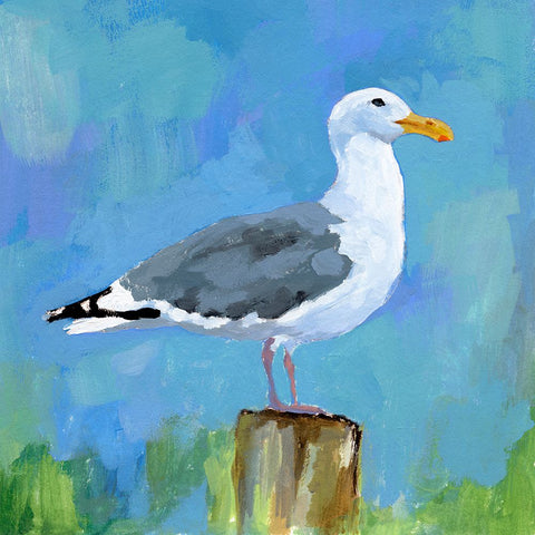 Salty Gull I White Modern Wood Framed Art Print with Double Matting by Barnes, Victoria