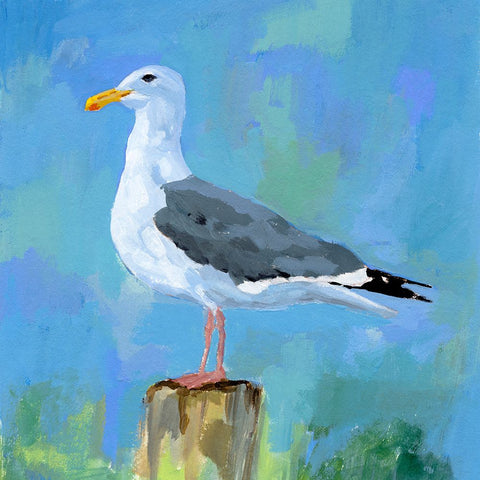 Salty Gull II Black Modern Wood Framed Art Print by Barnes, Victoria