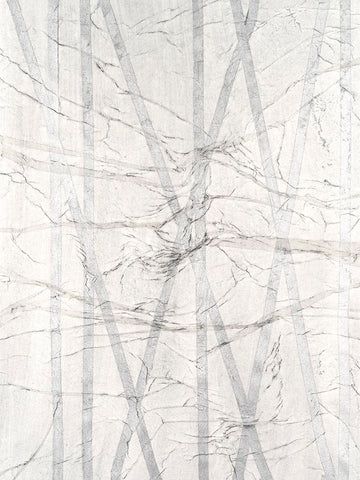 Pewter Forrest II Black Modern Wood Framed Art Print by Lam, Vanna