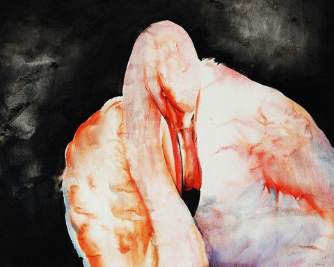 Flamingo Down Black Ornate Wood Framed Art Print with Double Matting by Edmunds, Sydney