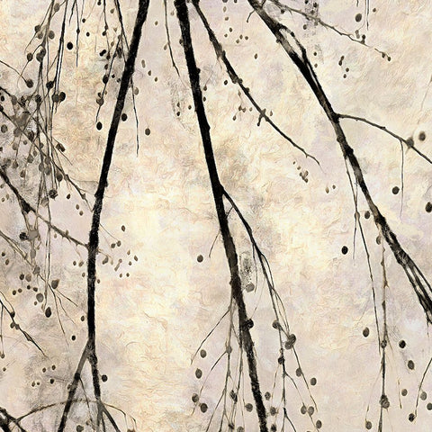 Winter Branches II White Modern Wood Framed Art Print with Double Matting by Saunders, Alonzo