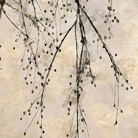 Winter Branches III Black Modern Wood Framed Art Print by Saunders, Alonzo