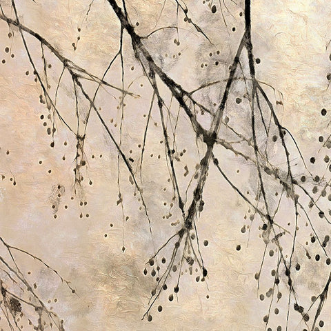 Winter Branches IV White Modern Wood Framed Art Print with Double Matting by Saunders, Alonzo