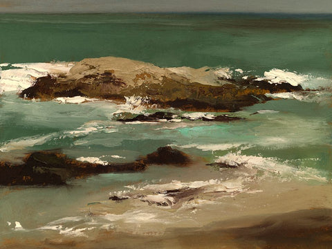 Pescadero I Black Modern Wood Framed Art Print by Finch, Sheila