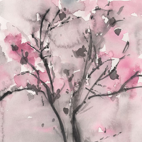 The Blossoms I White Modern Wood Framed Art Print with Double Matting by Dixon, Samuel