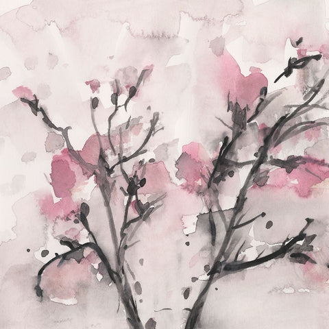The Blossoms II White Modern Wood Framed Art Print with Double Matting by Dixon, Samuel