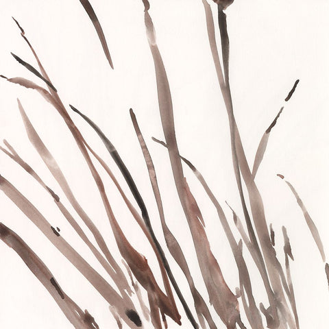 The Brown Grass I Black Modern Wood Framed Art Print by Dixon, Samuel
