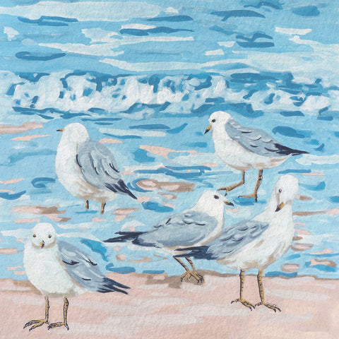 Seagull Birds II White Modern Wood Framed Art Print with Double Matting by Wang, Melissa