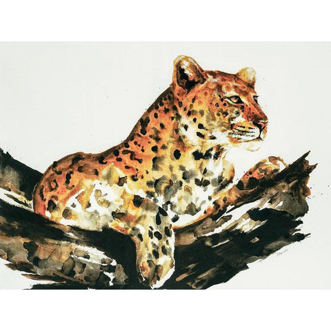 Safari Series I Black Modern Wood Framed Art Print by Schicker, Joshua