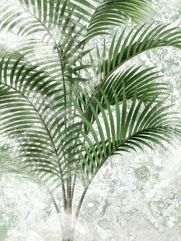 Lace Palms IV White Modern Wood Framed Art Print with Double Matting by Vess, June Erica