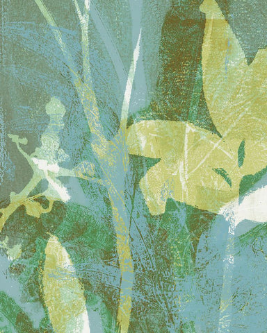 Serene Botany I Black Modern Wood Framed Art Print by Barnes, Victoria