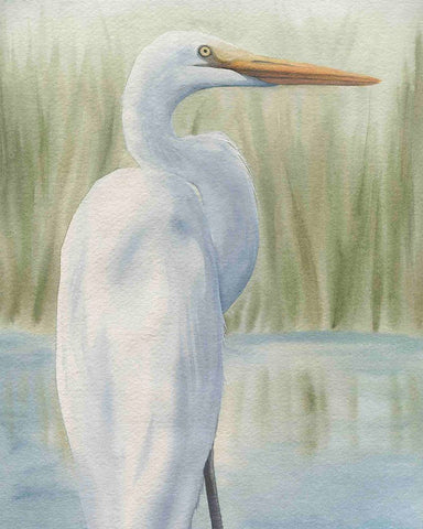 Dreams of Egrets II Black Ornate Wood Framed Art Print with Double Matting by Popp, Grace