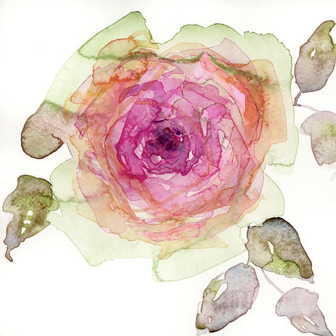 Queen Rosa I White Modern Wood Framed Art Print with Double Matting by Quin, Marabeth