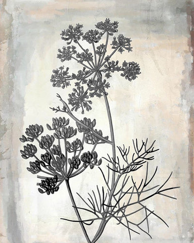 Floral Frame II Black Modern Wood Framed Art Print by Smith, Karen