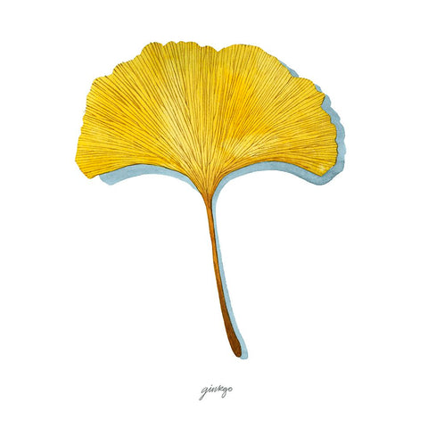 Golden Ginkgo Study I Black Modern Wood Framed Art Print by Popp, Grace