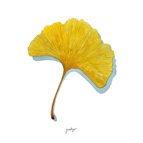 Golden Ginkgo Study II Black Modern Wood Framed Art Print by Popp, Grace