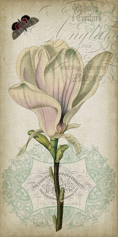 Cartouche and Floral I White Modern Wood Framed Art Print with Double Matting by Goldberger, Jennifer