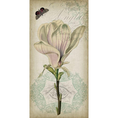 Cartouche and Floral I White Modern Wood Framed Art Print by Goldberger, Jennifer