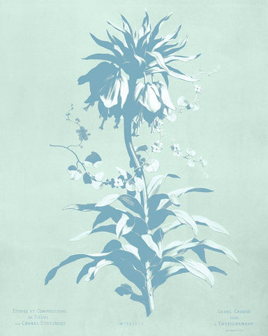 Mint Lilium I Black Ornate Wood Framed Art Print with Double Matting by Dussurgey, Chabal
