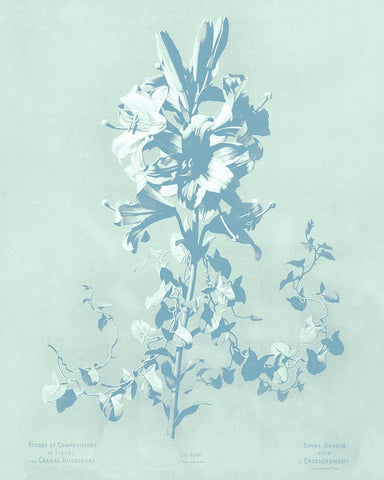 Mint Lilium II Black Ornate Wood Framed Art Print with Double Matting by Dussurgey, Chabal