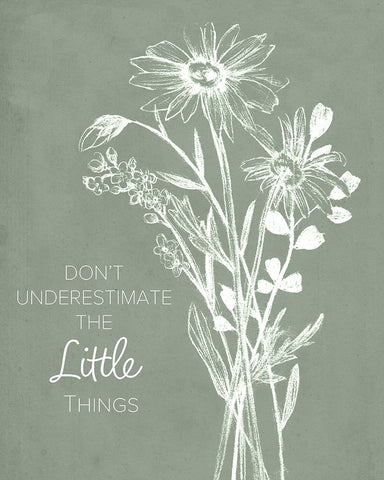 Lovely Wildflower Quotes I White Modern Wood Framed Art Print with Double Matting by Wang, Melissa