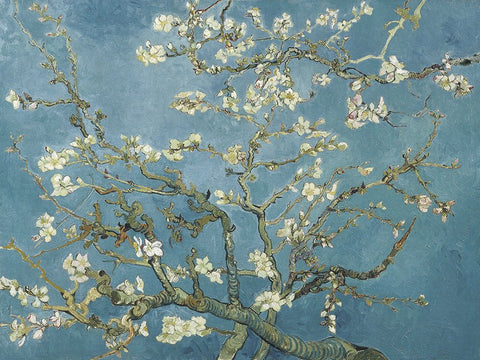 Van Goghs Almond Blossom Black Modern Wood Framed Art Print by Van Gogh, Vincent