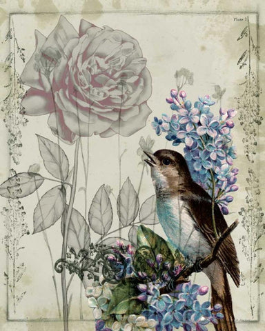 Mauve Melody III Black Ornate Wood Framed Art Print with Double Matting by Goldberger, Jennifer