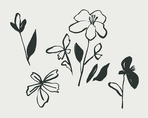 Little Flora I Black Modern Wood Framed Art Print by Wang, Melissa