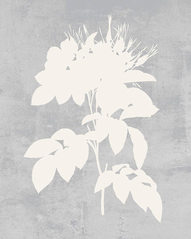 Falling Flowers I Black Modern Wood Framed Art Print by Wang, Melissa