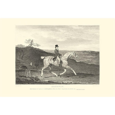 Custom Hackney White Modern Wood Framed Art Print by Scott, John