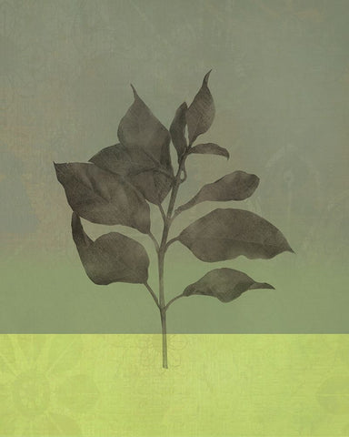 Leaves Green II White Modern Wood Framed Art Print with Double Matting by Bagnato, Judi