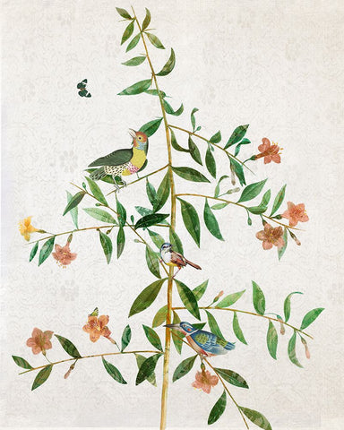 Perching Bird I White Modern Wood Framed Art Print with Double Matting by Smith, Karen