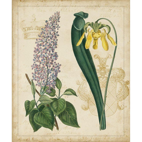 Botanical Repertoire IV White Modern Wood Framed Art Print by Vision Studio