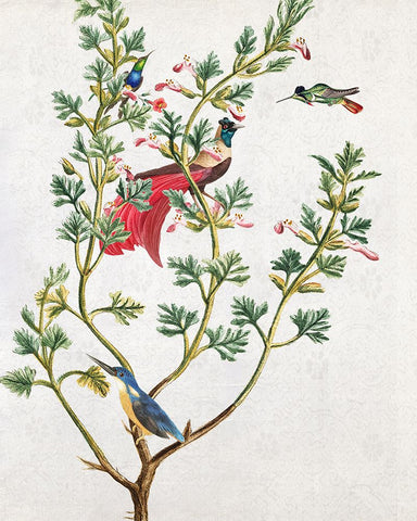 Perching Bird II Black Modern Wood Framed Art Print by Smith, Karen