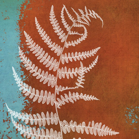 Fern Abstract Study I Black Modern Wood Framed Art Print by Poinski, Dianne